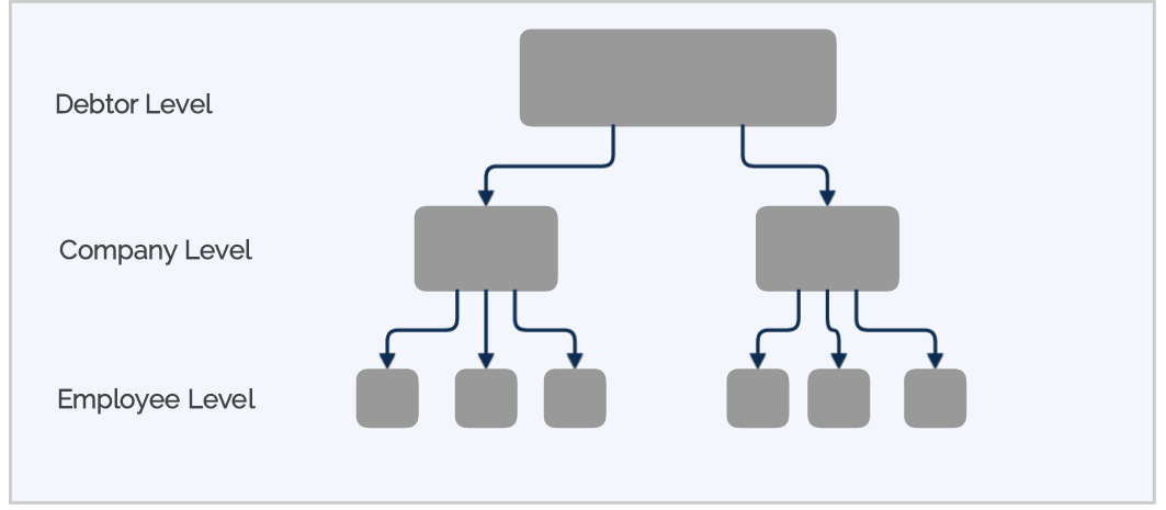 Nmbrsbusinessstructure2.png